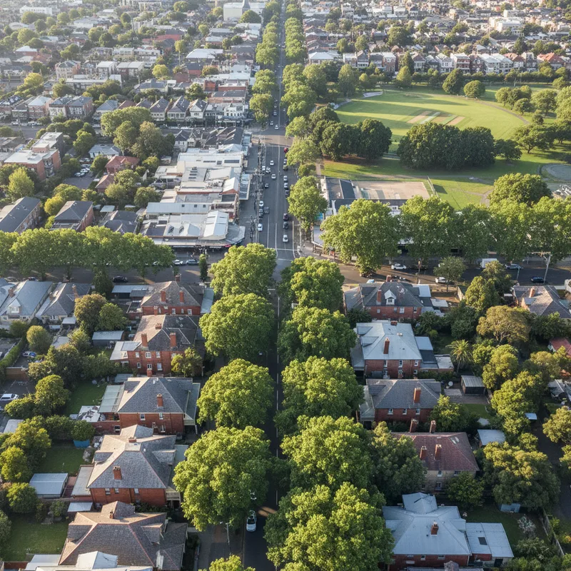 A sunny streetscape in Hamilton, a historic inner-city suburb of Newcastle, showing well-preserved heritage houses behind leafy green trees.
